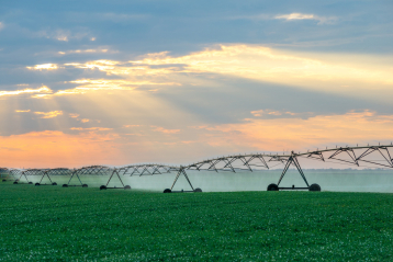History and Types of Irrigation